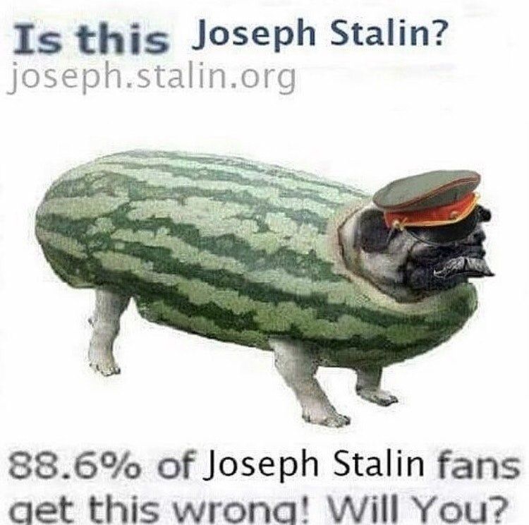 No wikipedia cheating please