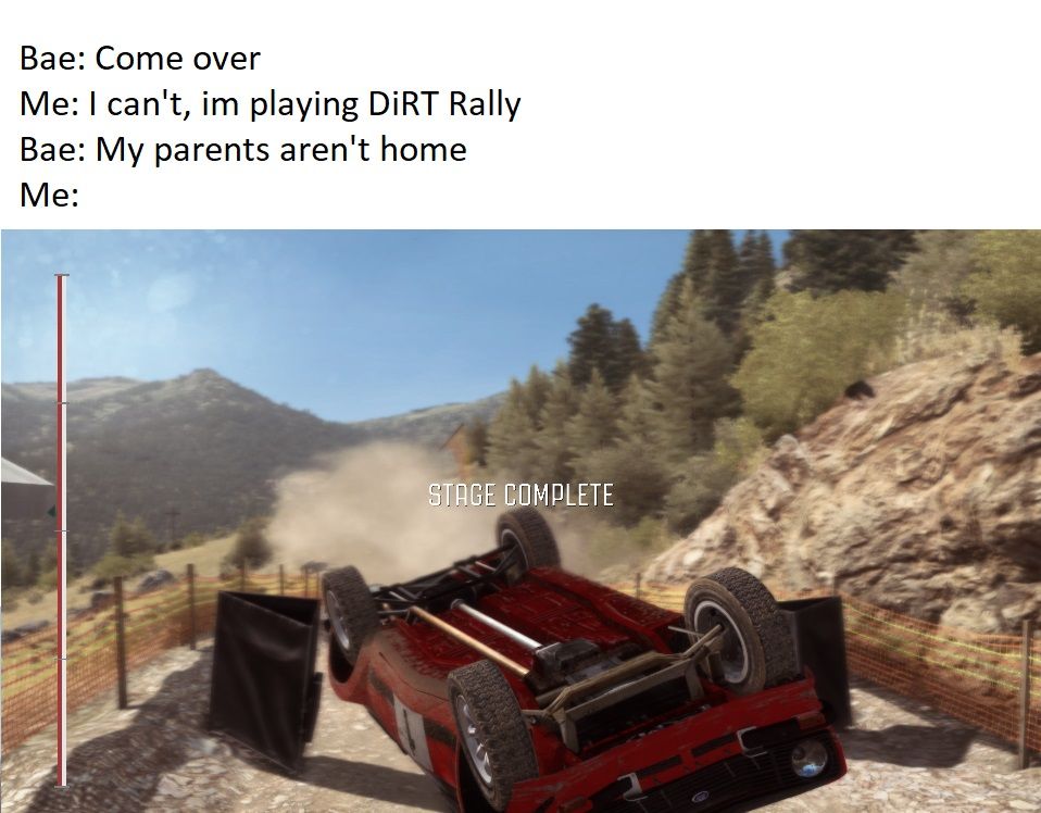 DiRTRallymeme.png