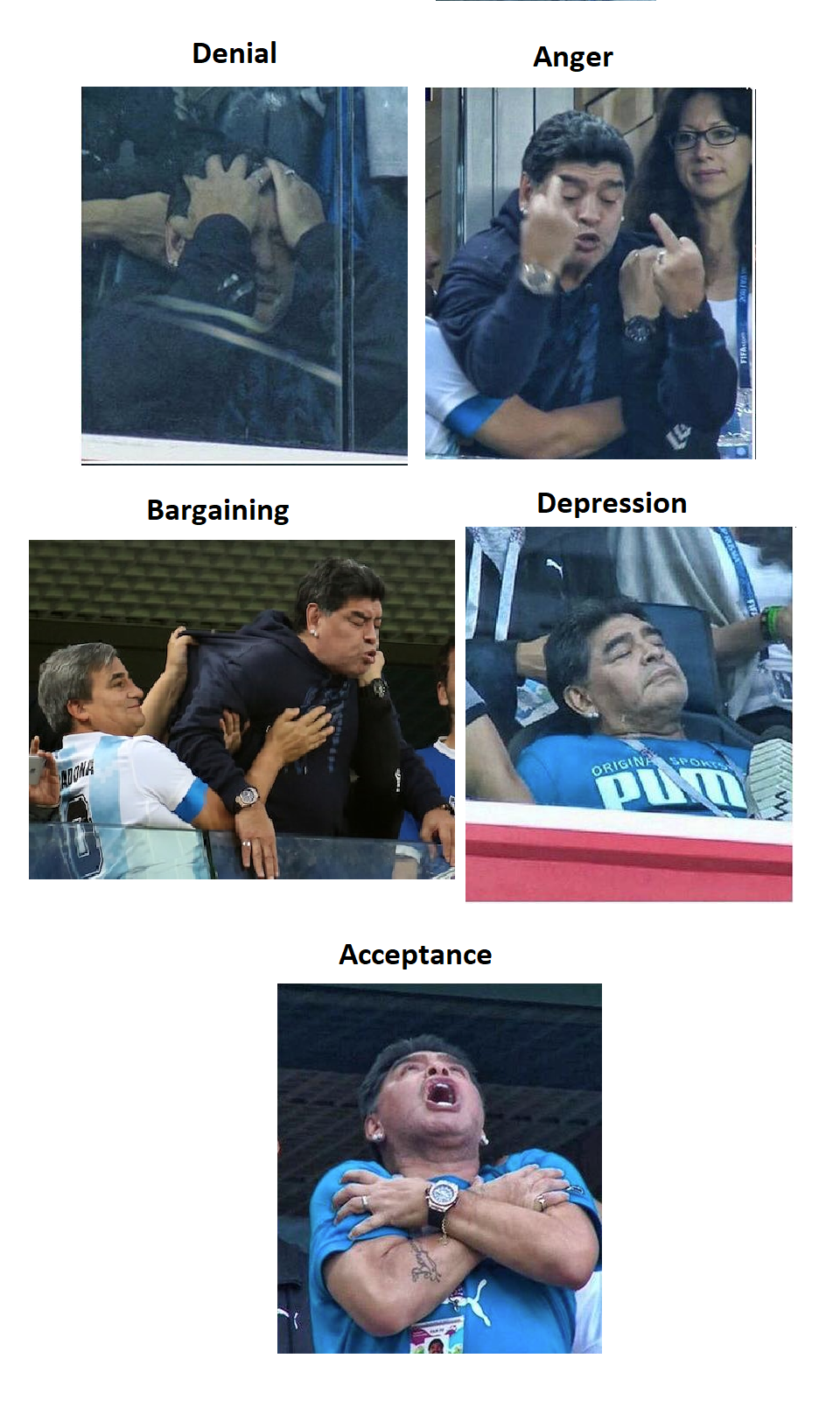 5 stages of grief