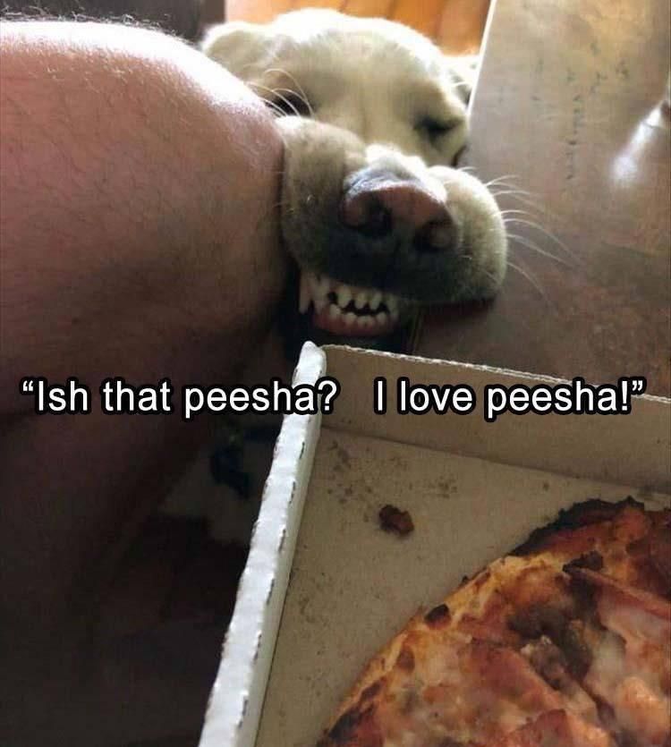 Who wants peesha?!