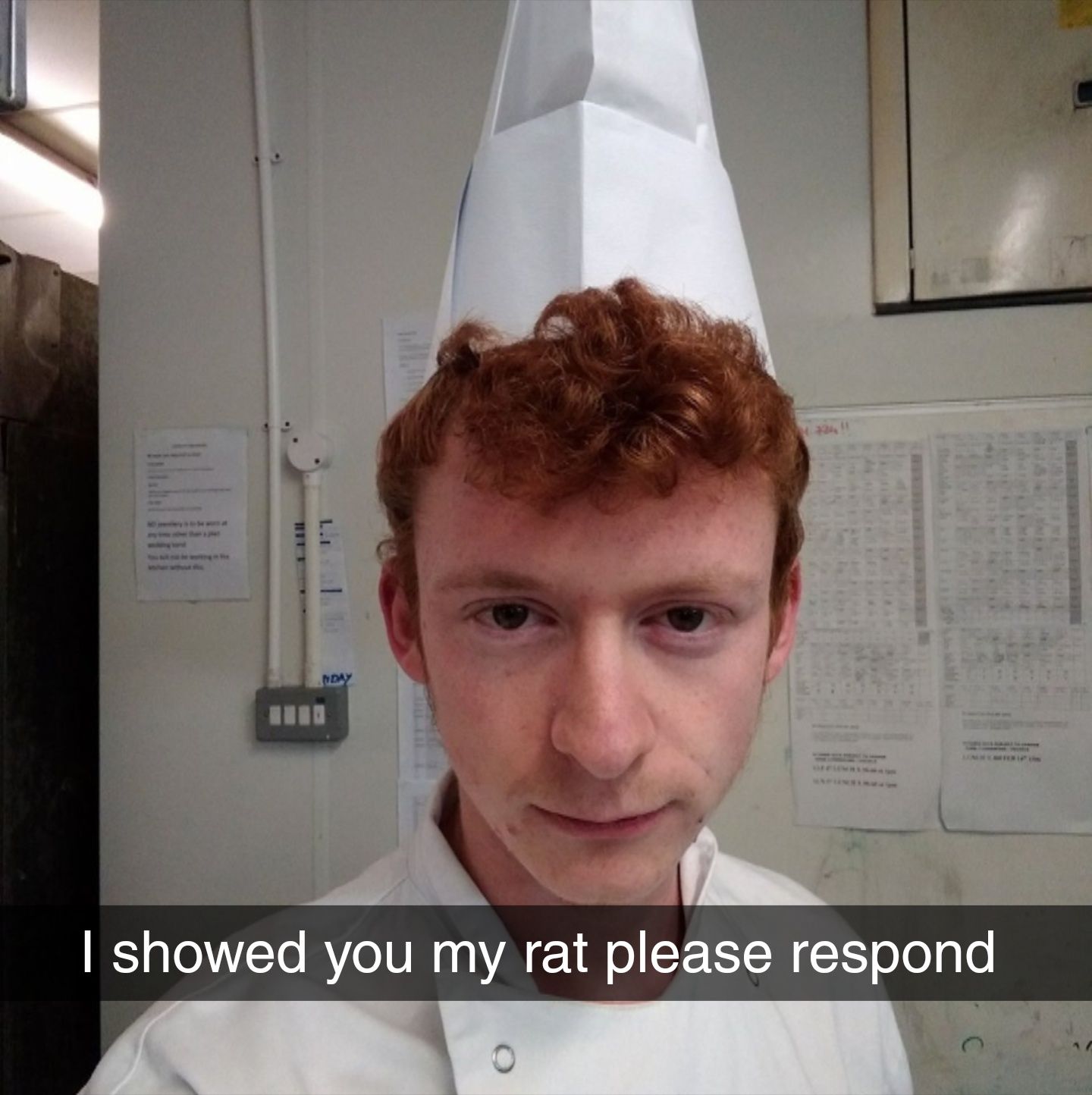 Thought I'd make a meme out of the ratatouille guy from the other day