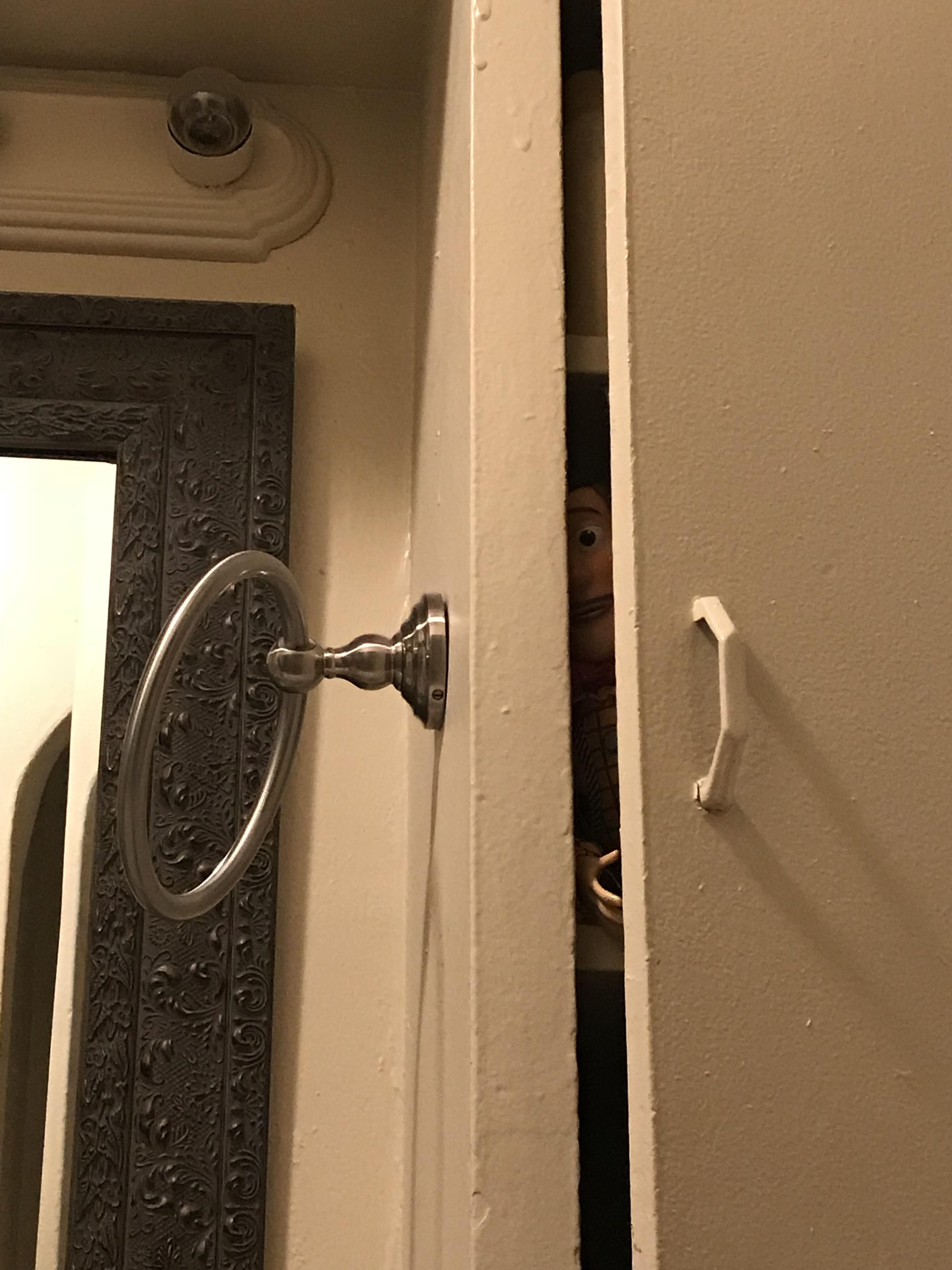 Looked up and noticed this while using the bathroom.