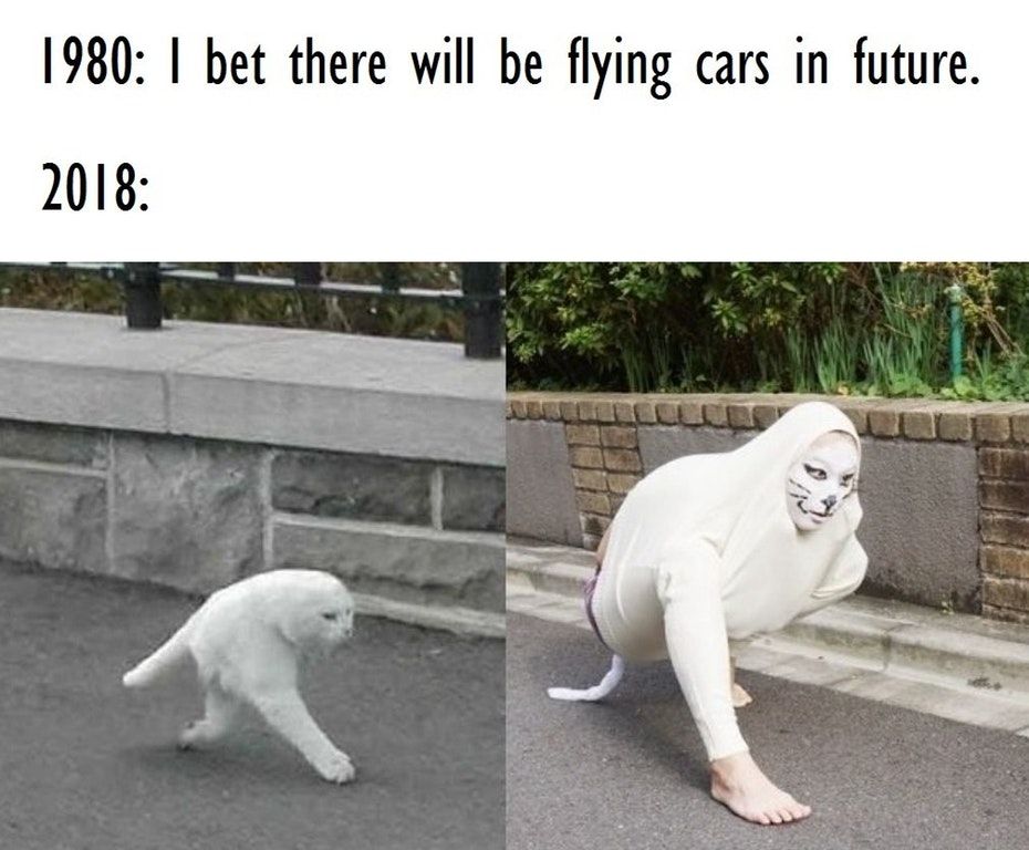 I fear for the future