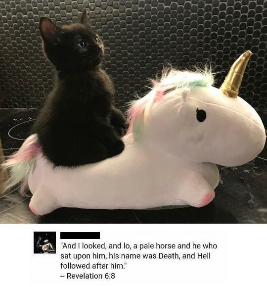 His name was Death
