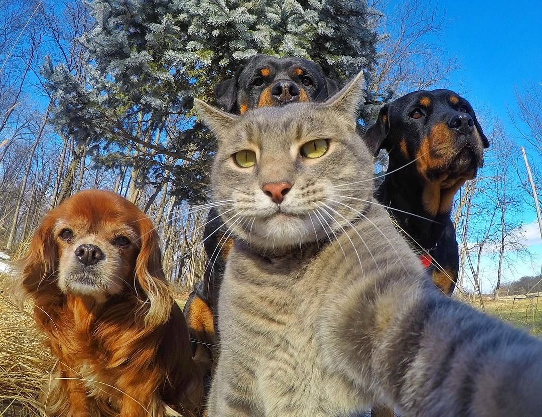 selfie with the squad.