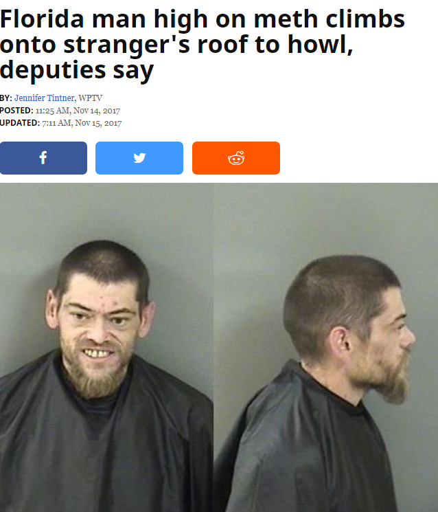 when the headlines start with "Florida man" you know its gonna be dumb af