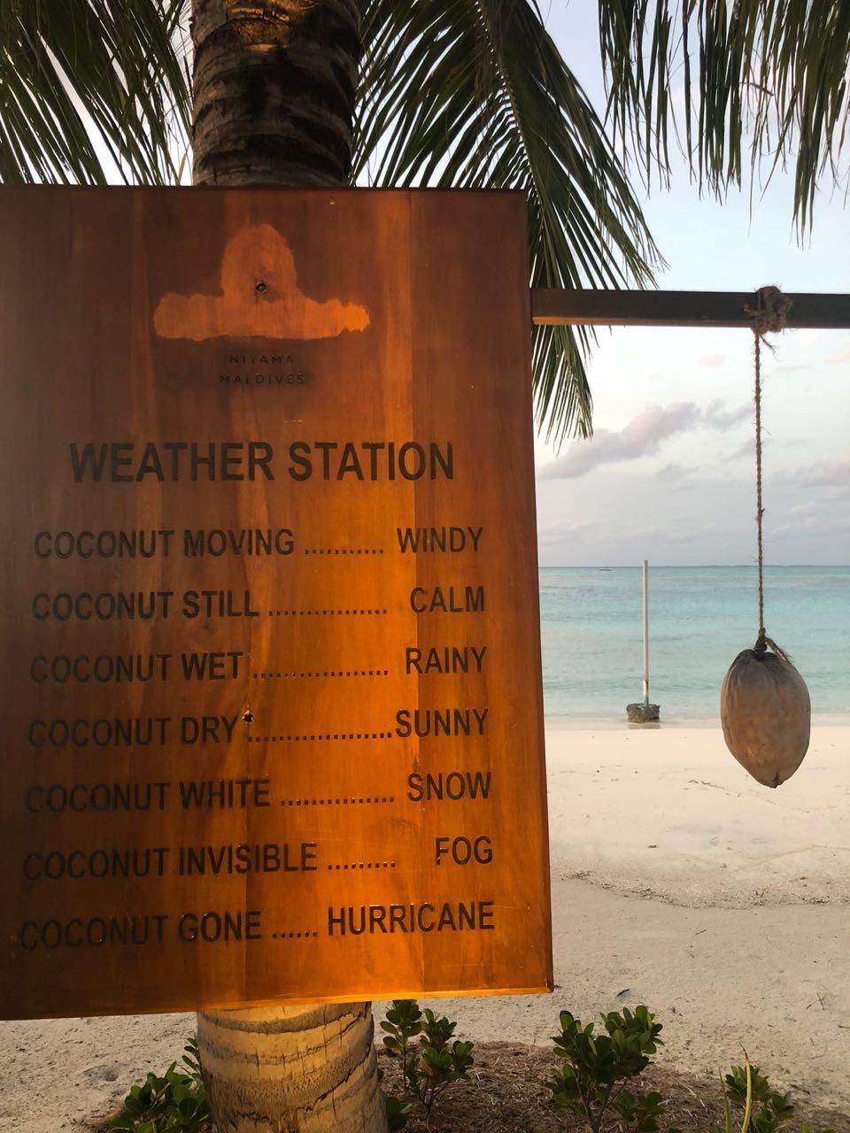I see you weather station.log and raise you a coconut