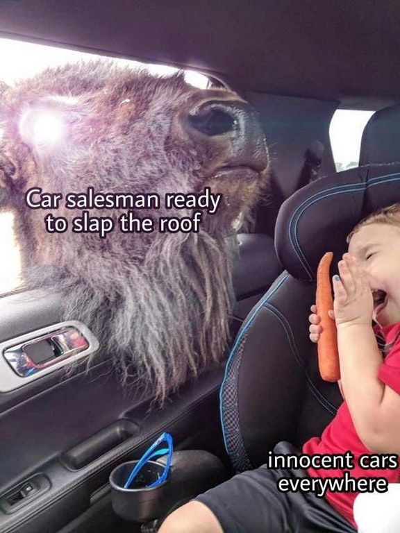 oh no