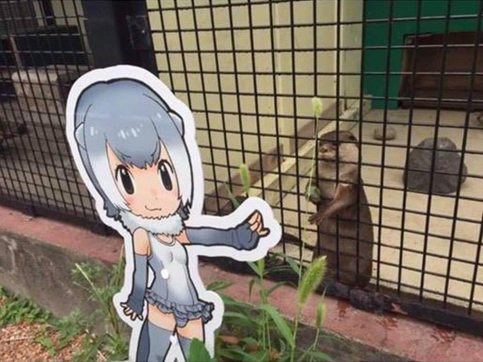 It's Grape-kun all over again