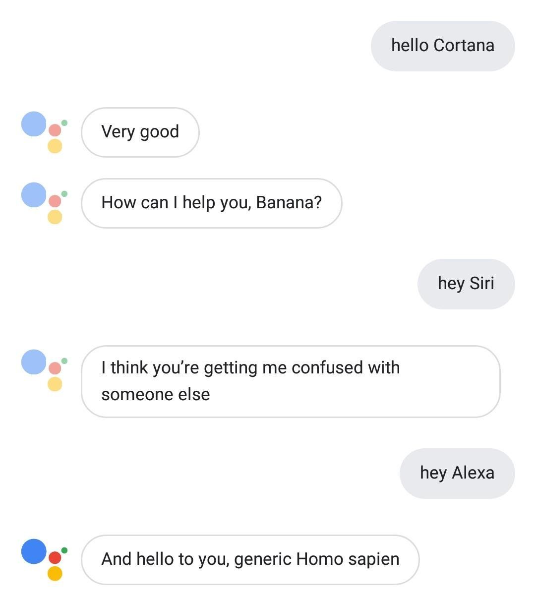 Google Assistant apparently doesn't like being called other AI's names