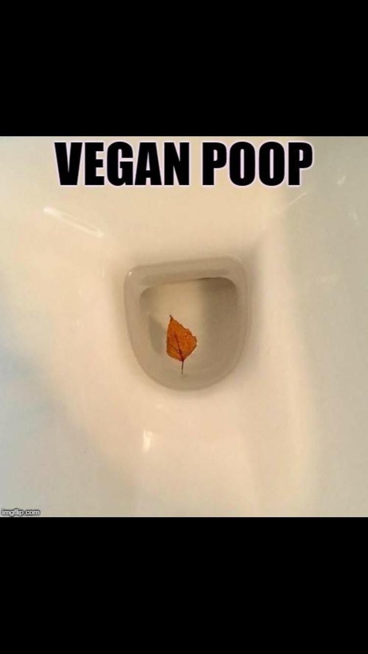 Vegan poop..