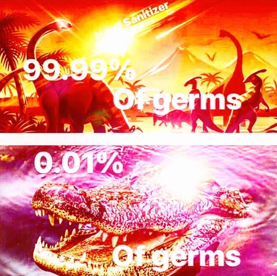 sneak 100