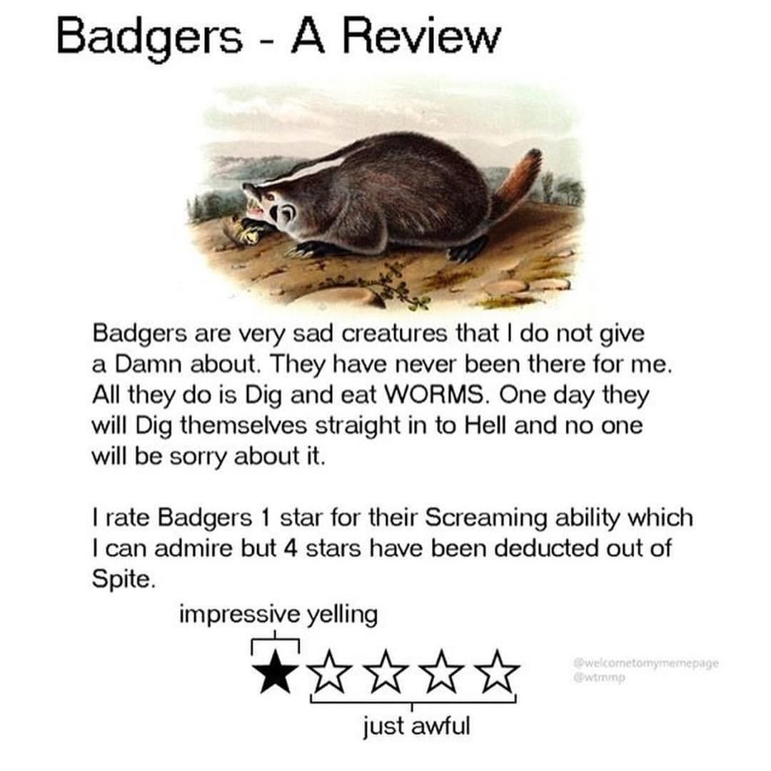 Such an honest review