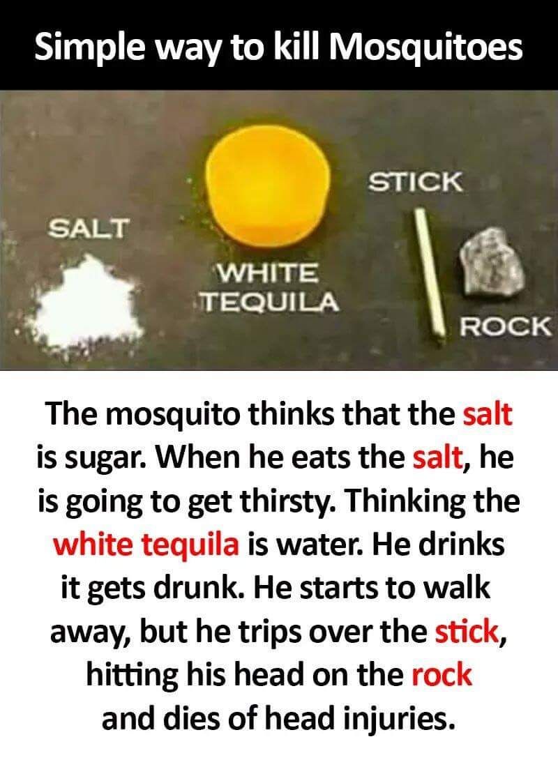 How to kill mosquitos.