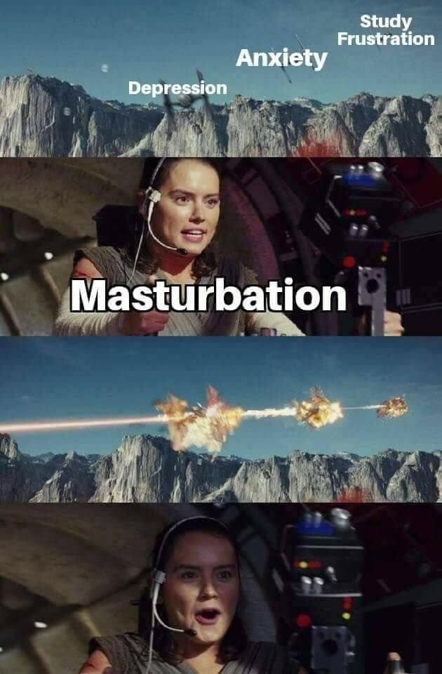 birds vs one stone