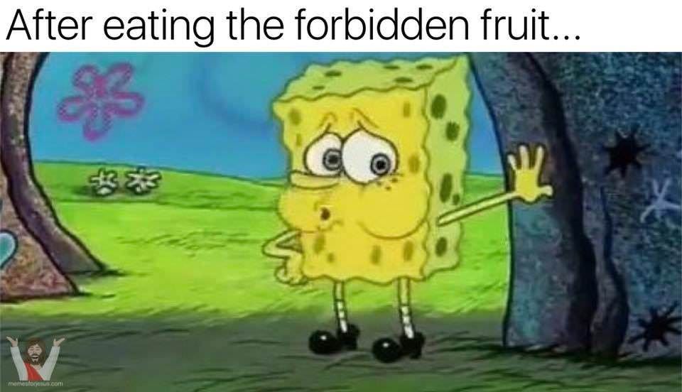 oh boi
