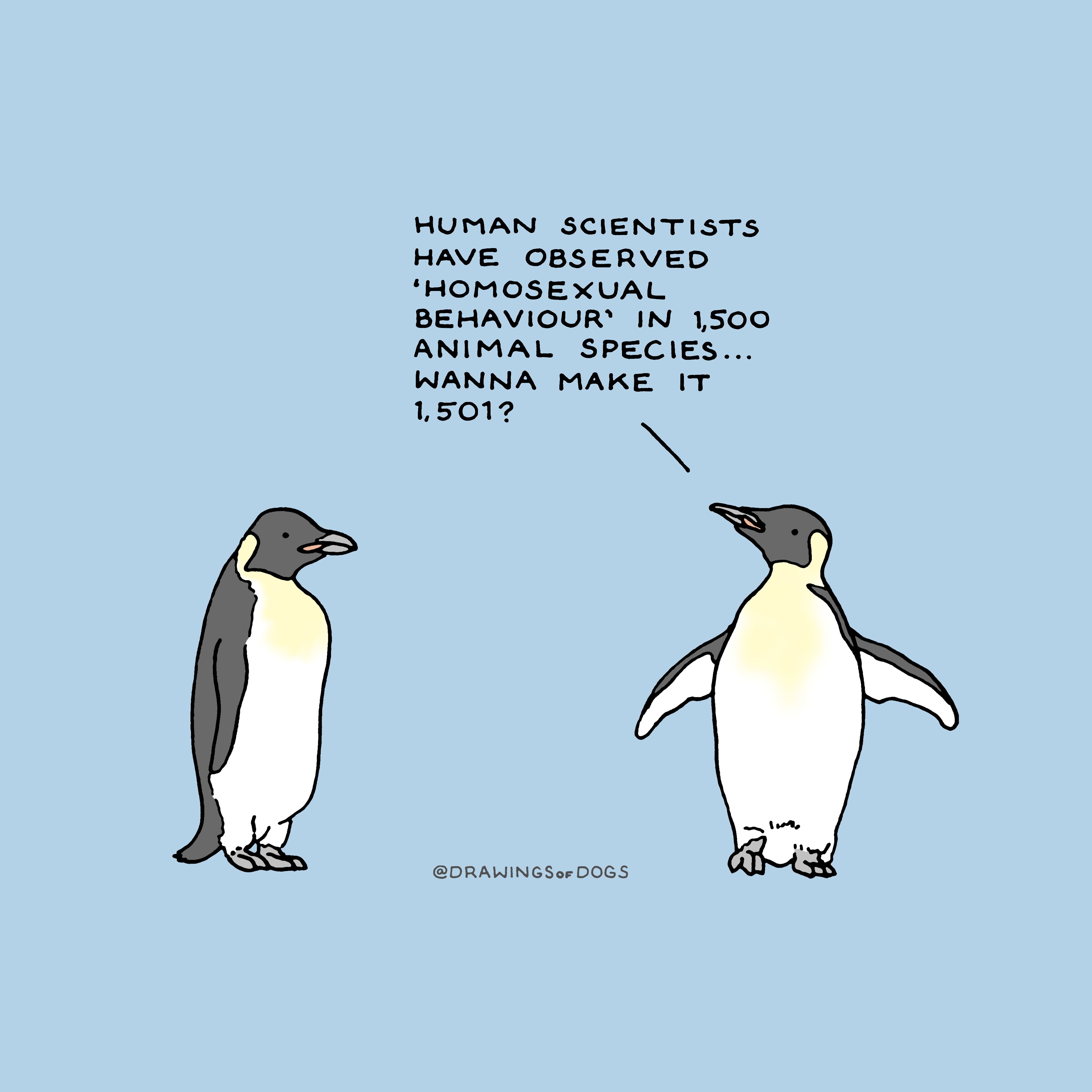 Wholesome socially awesome penguin