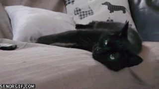 Can't reach remote