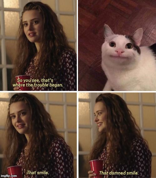 That damned cat