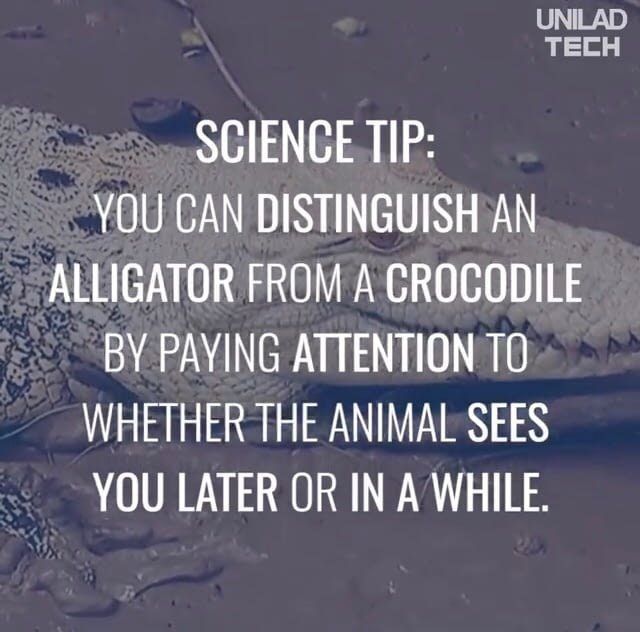 But what if it sees you soon?