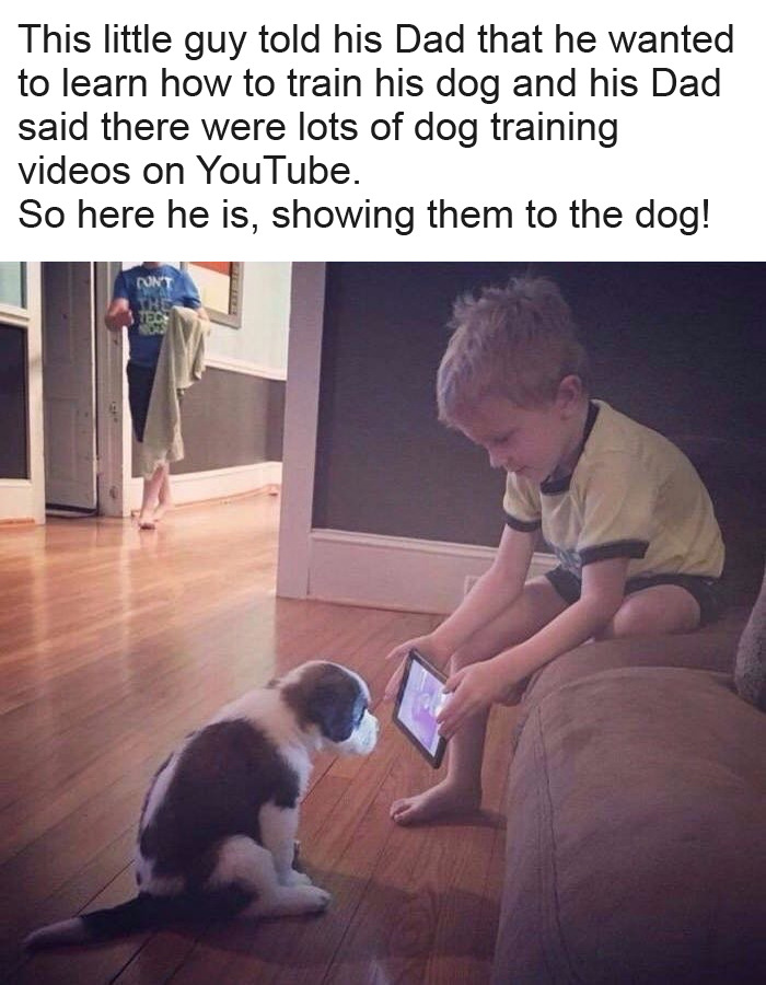 How to train your dog.