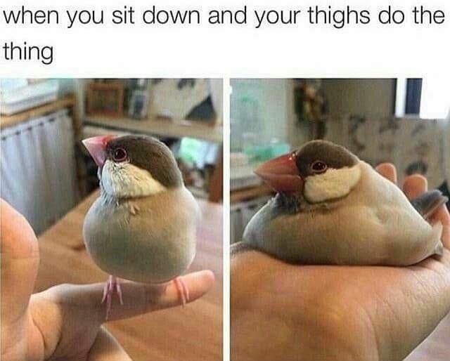 When you T H I C C
