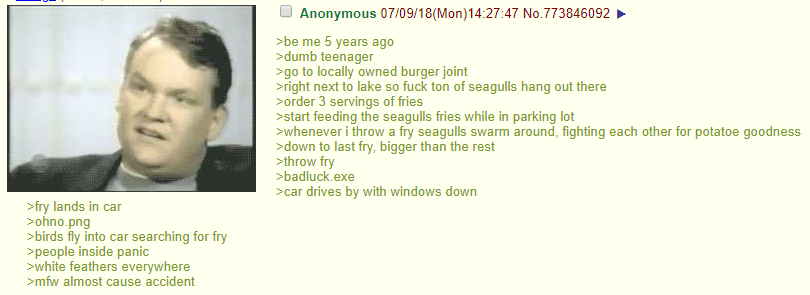 Anon feeds the birds