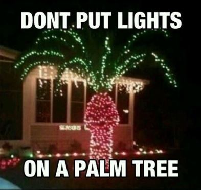 Don't put lights on a palm tree