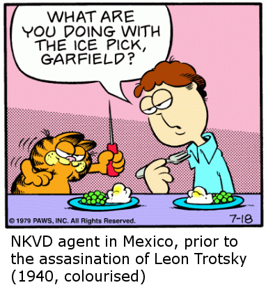 What are you doing Garfield?