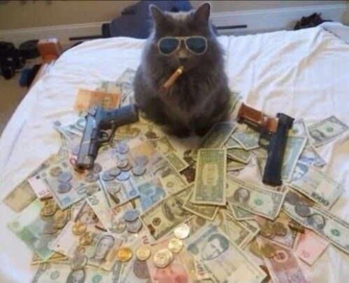 Upvote Currency cat and you shall be receive some economic success in the next 72 Hrs