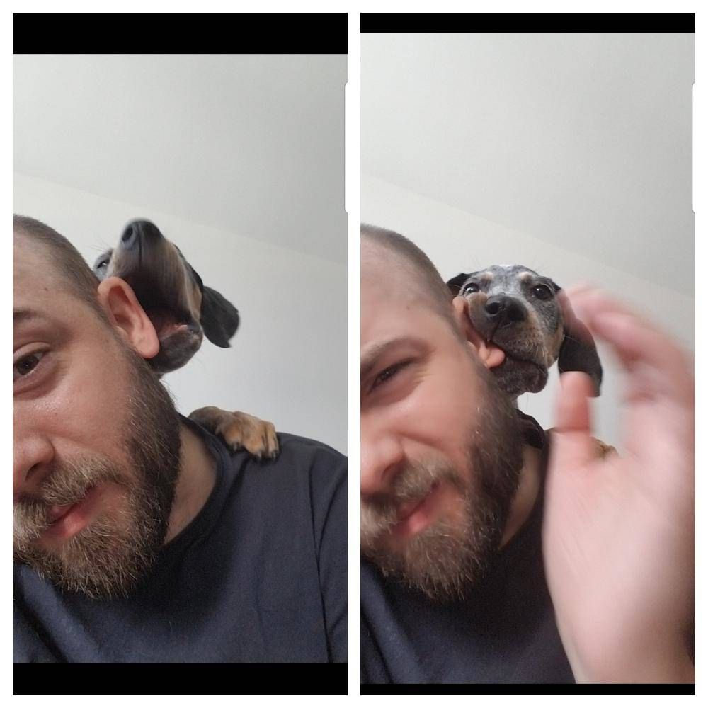 Tried to get a selfie with my new puppy...
