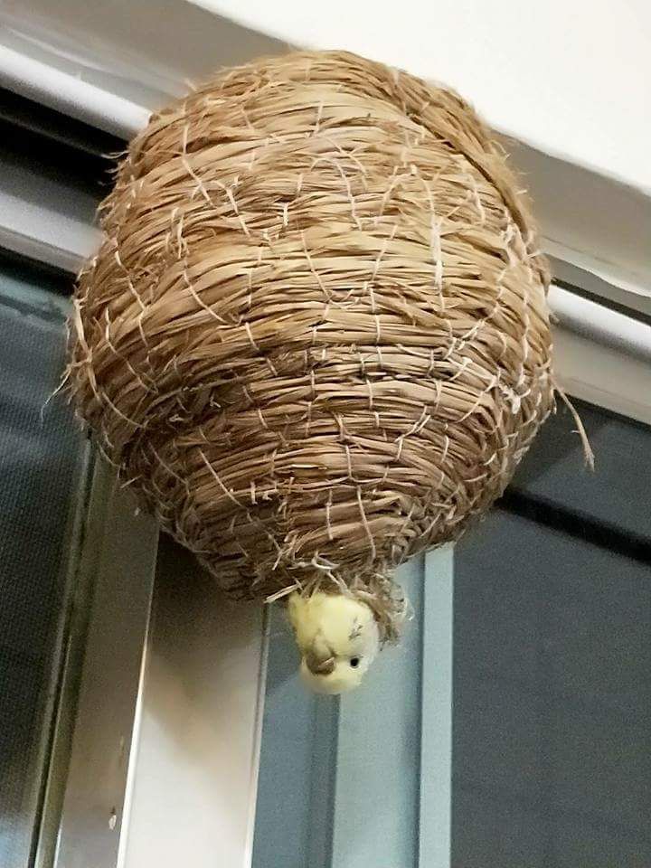 Beerb