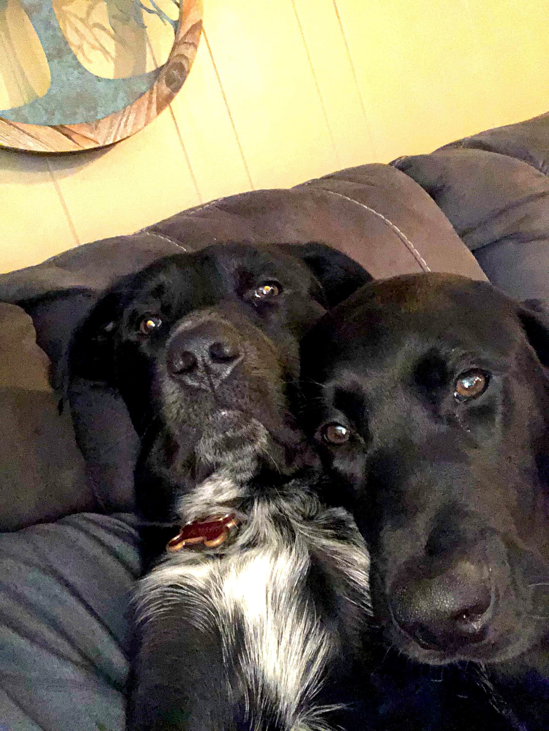 I was told they look like an old couple trying to take a selfie.