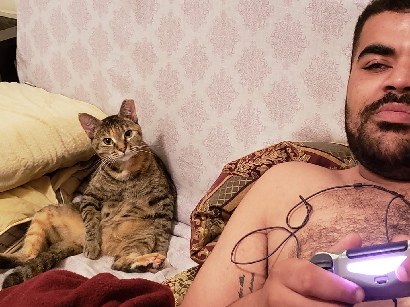 Yes I have a hairy chest but that's not what is important here look at how me and my cat chill while I play videogames