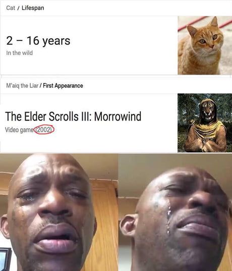 Oh no. Just not that...