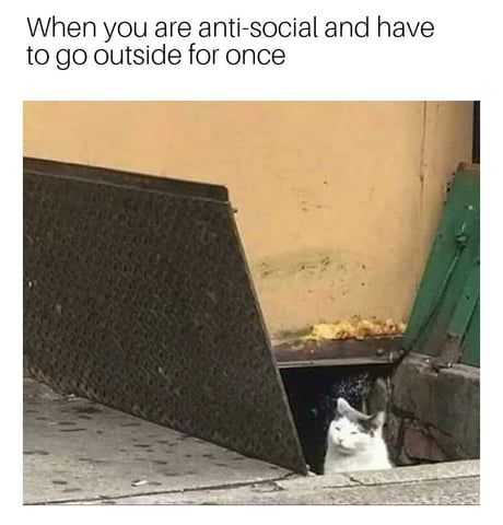 Me IRL