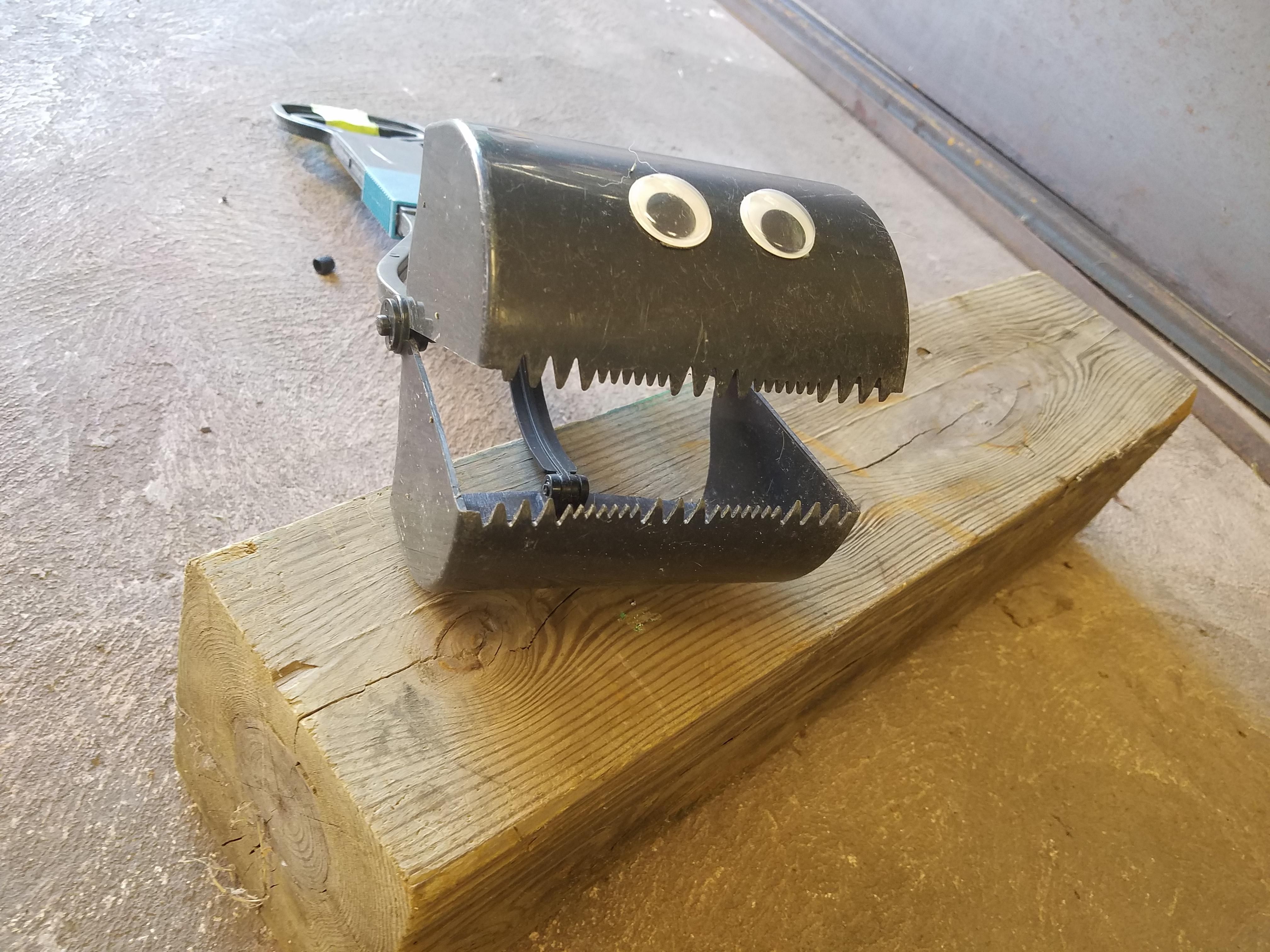 I put googly eyes on my pooper scooper so I can chase the dogs around the yard with it saying "give me your poopy!!!!"