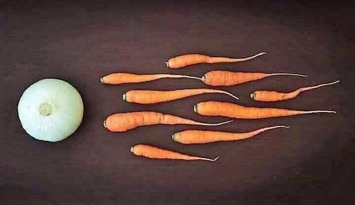 ... and that is how vegans are born: