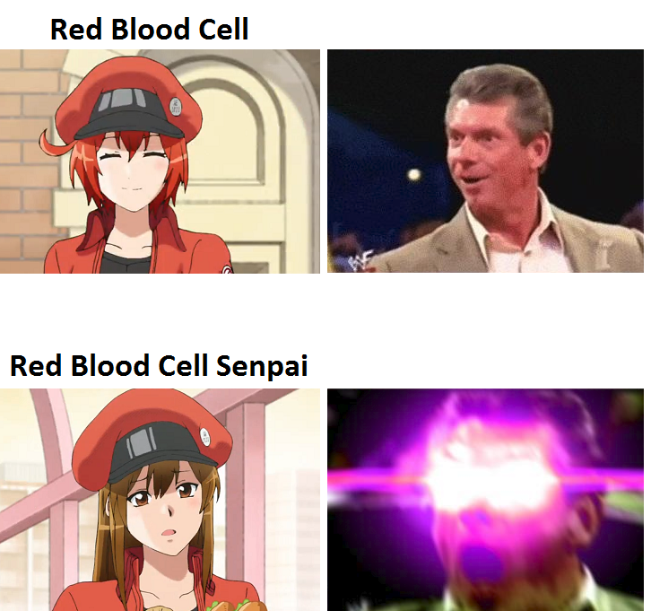Y E S