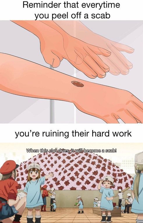 Platelets like to rest too
