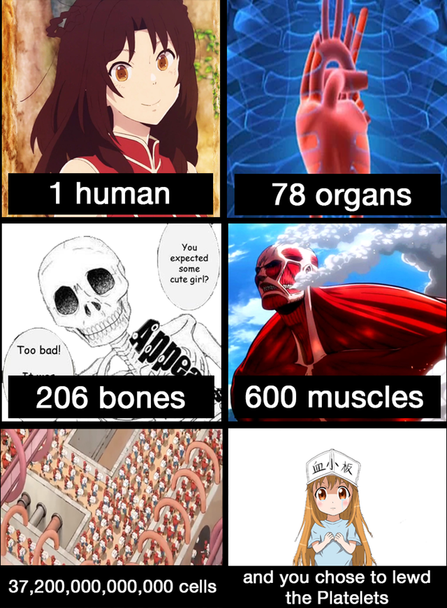It is the best choice.