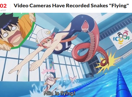 Nature is beautiful
