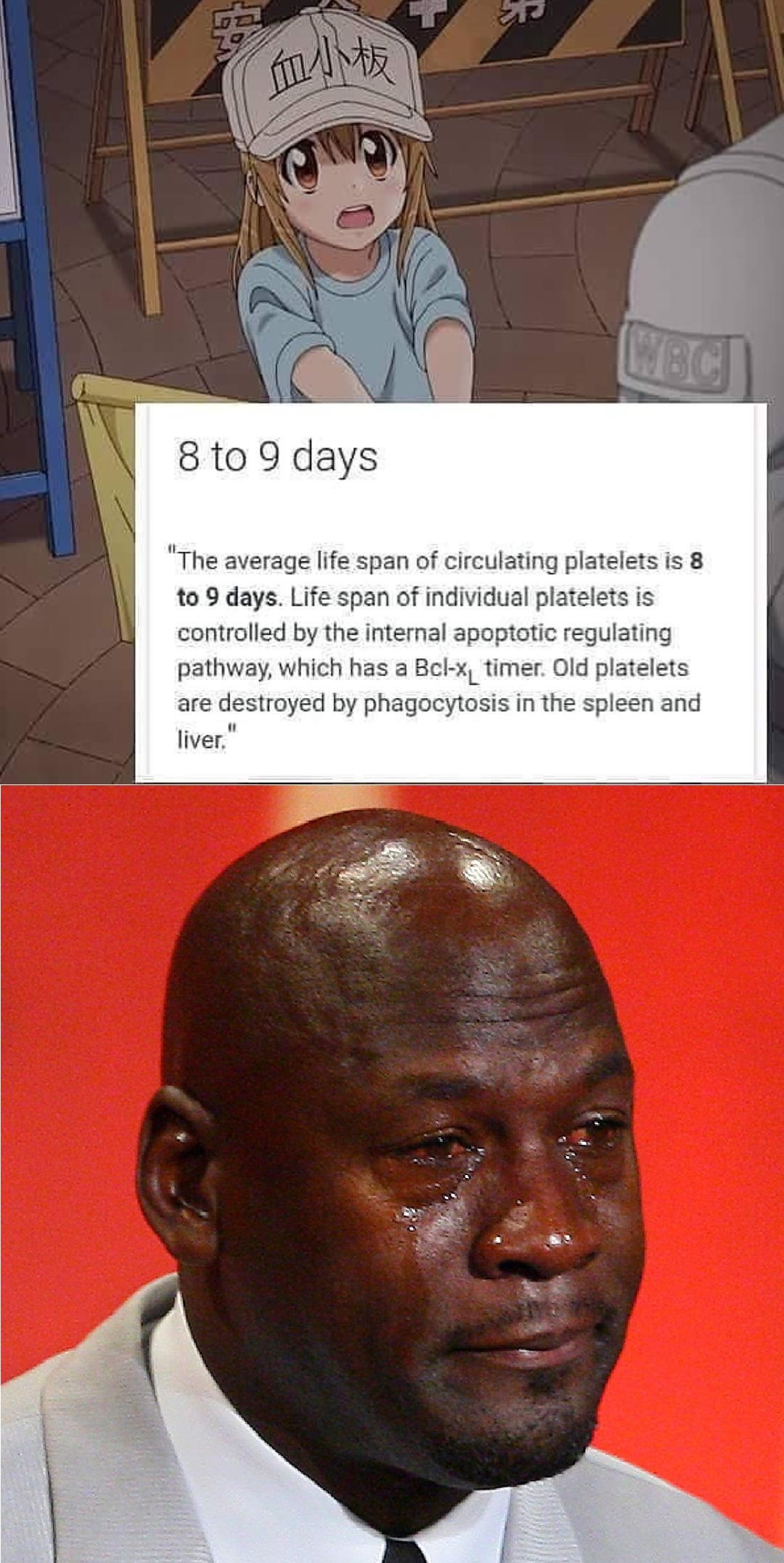 Not like this...