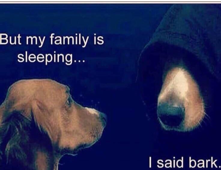 So this is why my dog barks at night!
