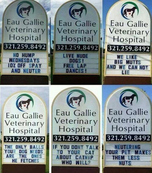 Best vet signs ever