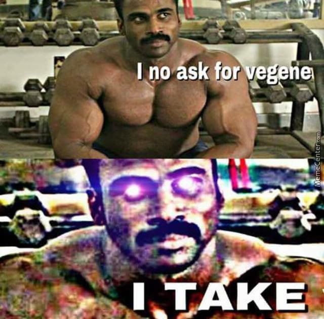 You -will- show me bob