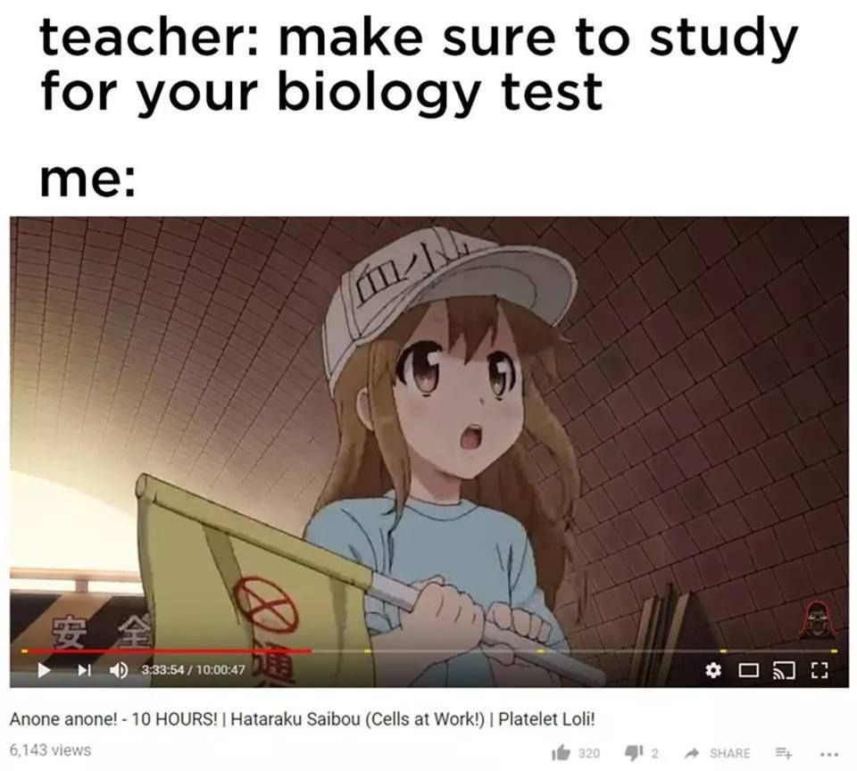 I shall learn everything I need this way