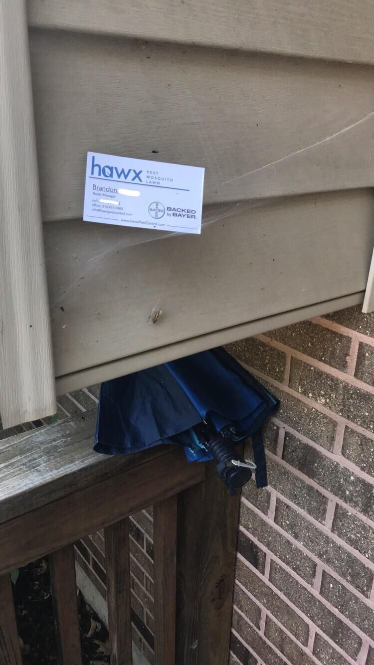 The pest control salesman left his card in a spiderweb on my porch.