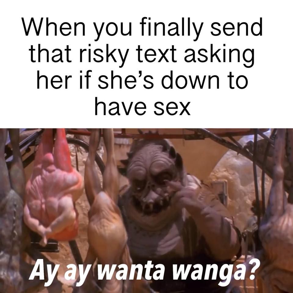 Ay ay