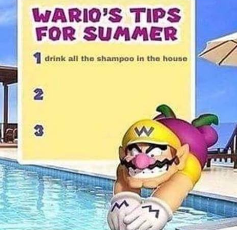 dankie wario!